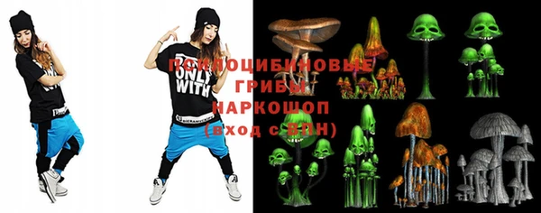 ешки Корсаков