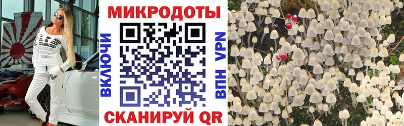 Псилоцибиновые грибы Psilocybine cubensis  где найти наркотики  Дедовск 