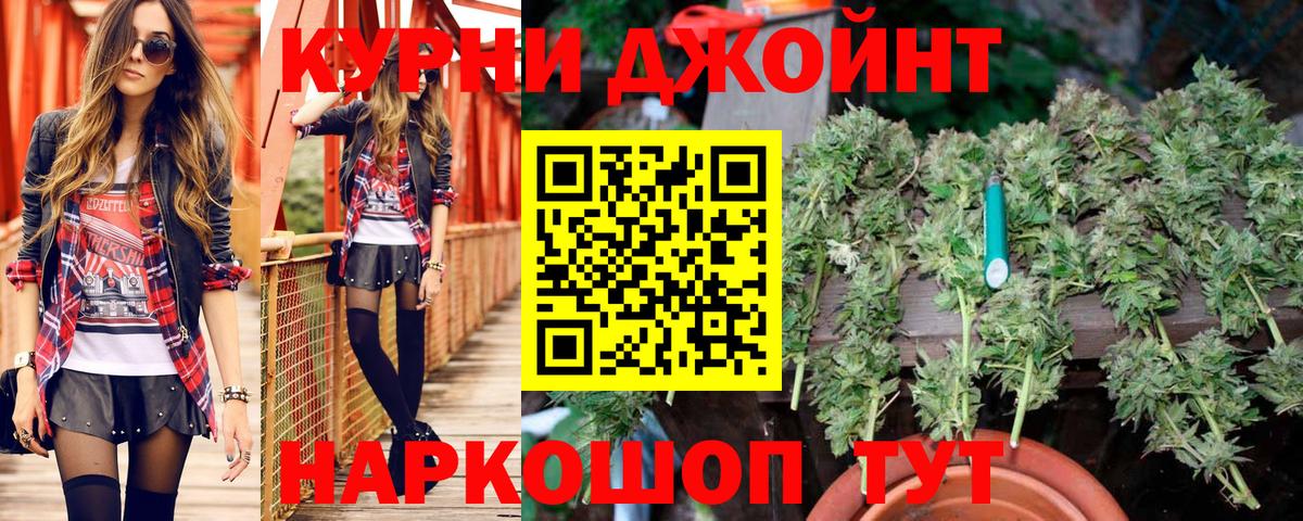 Каннабис сатива  Бошки Шишки планчик  МАРИХУАНА Ganja  Дедовск  Вход с VPN 